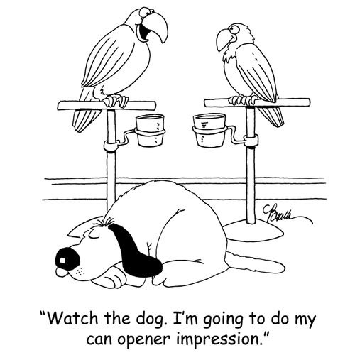 'Watch the dog. I'm going to do my can opener impression.'