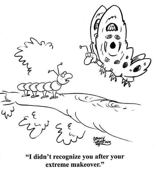 Caterpillar to butterfly: 'I didn't recognize you after your extreme makeover.'