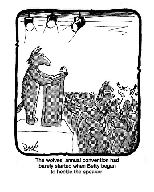 'The wolves' annual convention had barely started when Betty began to heckle the speaker.'