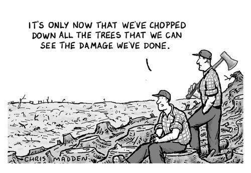 'It's only now that we've chopped down all the trees that we can see the damage we've done.'