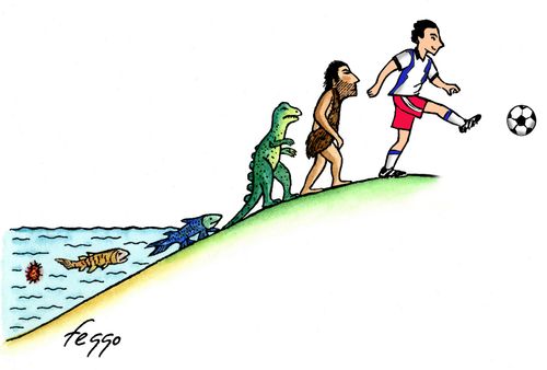 Evolution