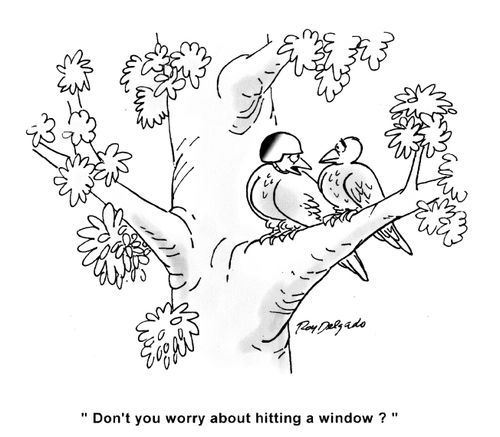 'Don't you worry about hitting a window?'