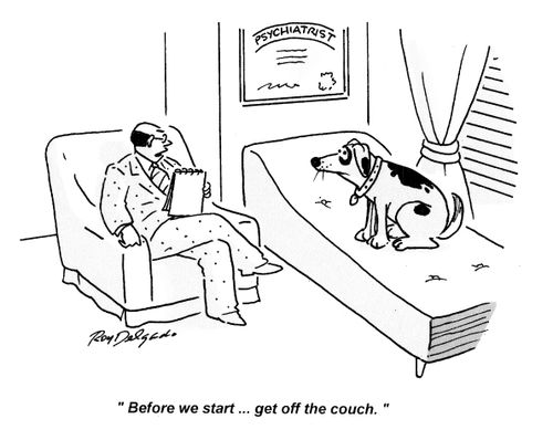 'Before we start... get off the couch.'