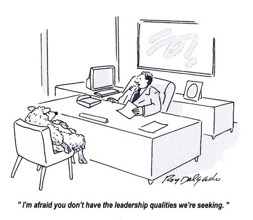 'I'm afraid you don't have the leadership qualities we're seeking.'