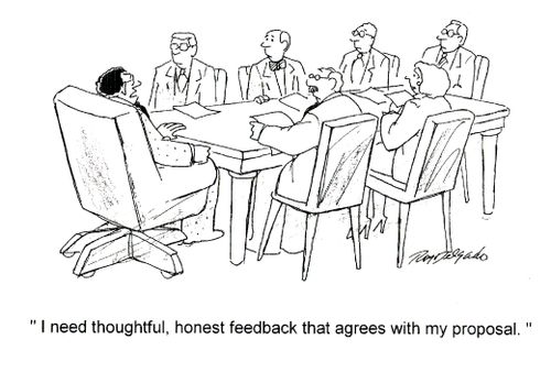 'I need thoughtful, honest feedback that agrees with my proposal.'