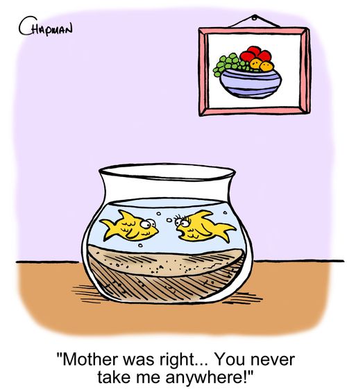 'Mother was right... You never take me anywhere!'