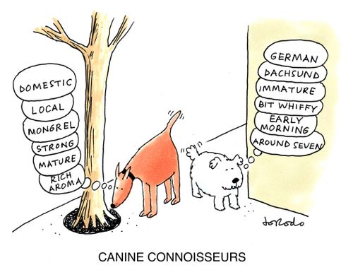 Canine Connoisseurs.