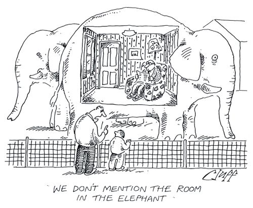 'We don't mention the room in the elephant.'
