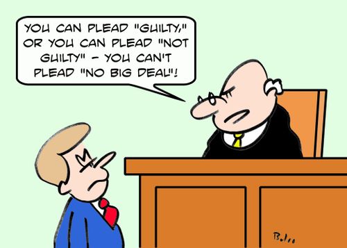 'You can plead 'guilty,' or you can plead 'not guilty' - You can't plead 'no big deal'!'