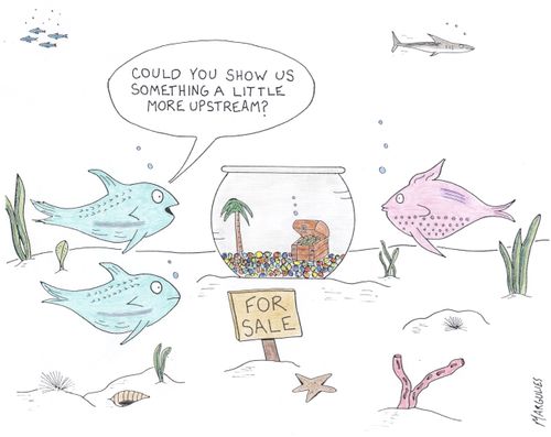 'Could you show us something a little more upstream?'