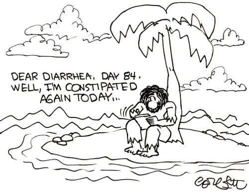 'Dear Diarrhea, Day 84. Well, I'm constipated again today...'
