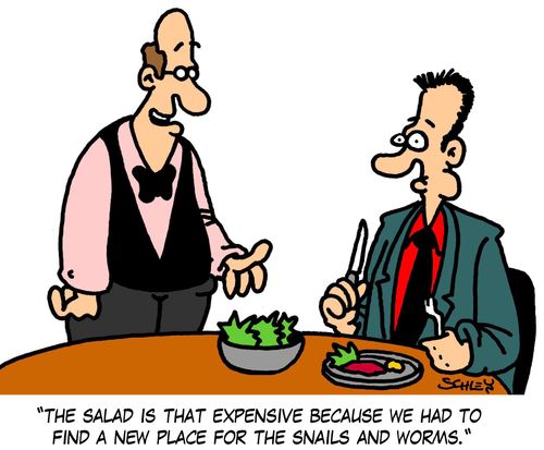 'The salad is that expensive because we had to find a new place for the snails and worms.'
