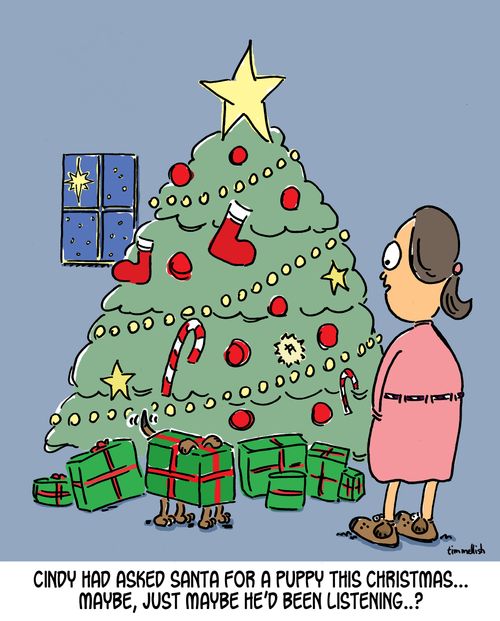 Cindy had asked Santa for a puppy this Christmas...maybe, just maybe he'd been listening...?