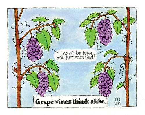 Grape vines think alike.