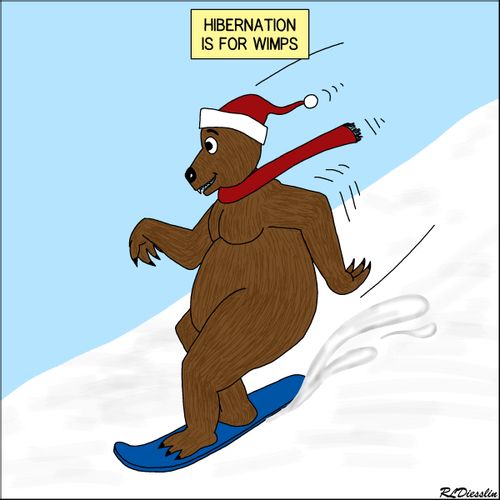 Bear Snowboarding