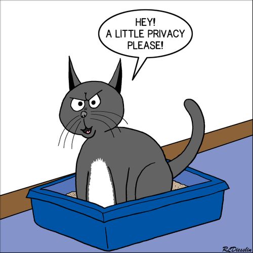 "Hey! A little privacy please!"