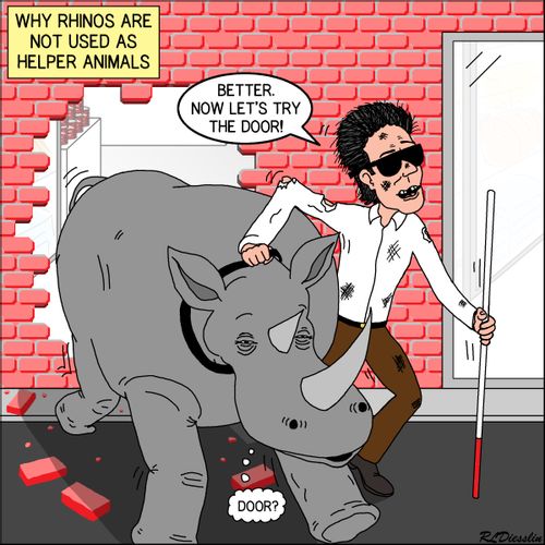 Why rhinos are not used as helper animals.