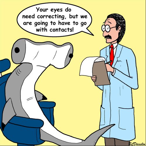 "Your eyes do need correcting, but we are going to have to go with contacts!"