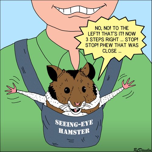 The problems with trying to use a seeing-eye hamster.
