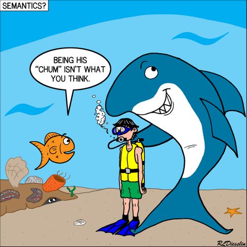 Shark Chum