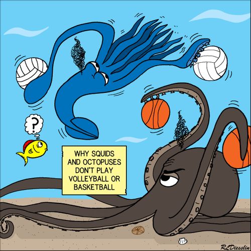 Why Squid and Octopuses Don't Play Ball Games