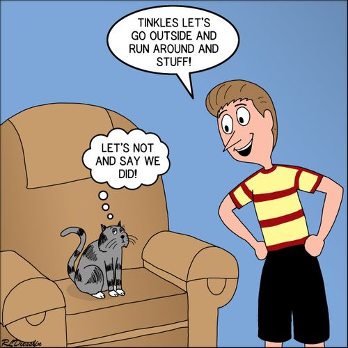 Timmy Wants to Play Outside, but his cat, Tinkles, does not.