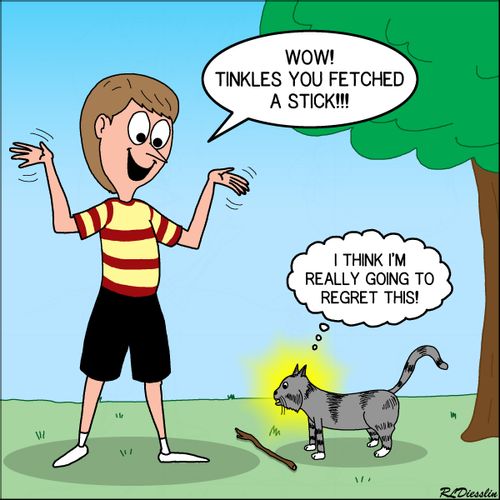 "Wow! Tinkles you fetched a stick!!!"