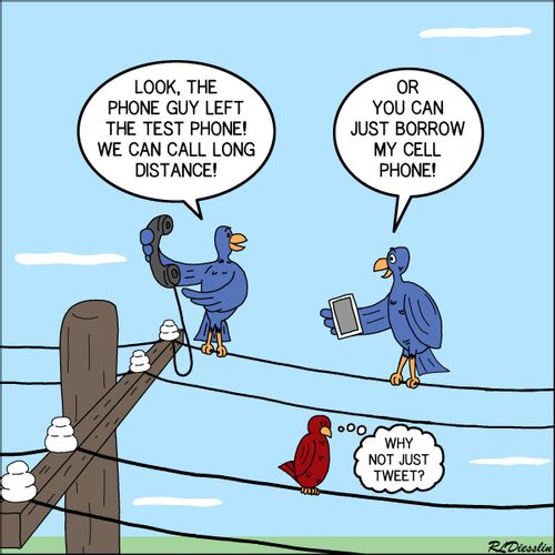 Birds on the Telephone Line