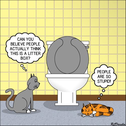 'Can you believe people actually believe this is a litter box?'