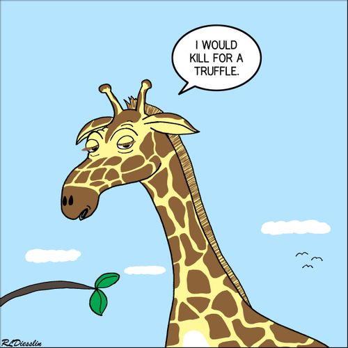 'I would kill for a truffle.'