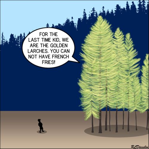 "For the last time kid, we are the golden larches. You cannot have french fries!"