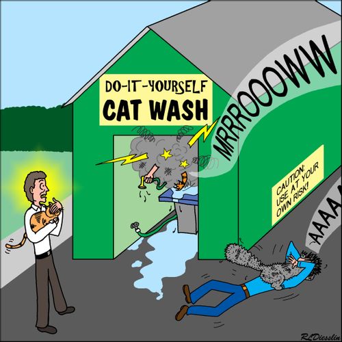 'Do-It-Yourself Cat Wash'