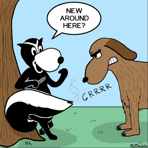"New around here?"