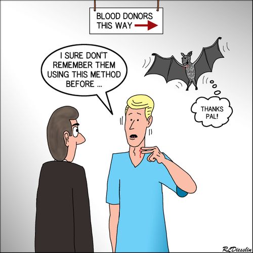 When a Vampire Bat is the Phlebotomists