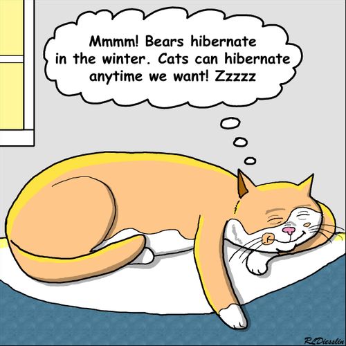 "Mmmm! Bears hibernate in the winter. Cats can hibernate anytime we want!"
