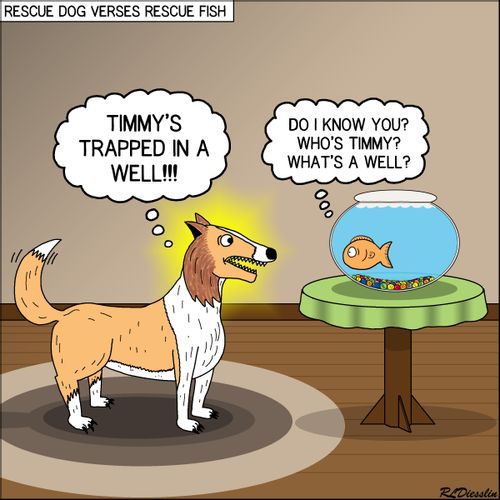 Rescue dog verses rescue fish.