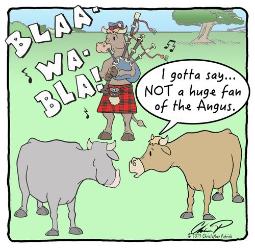 "I gotta say...Not a fan of the Angus."