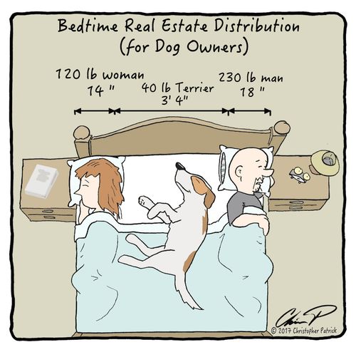 Bedtime Real Estate Distribution (for dog owners)