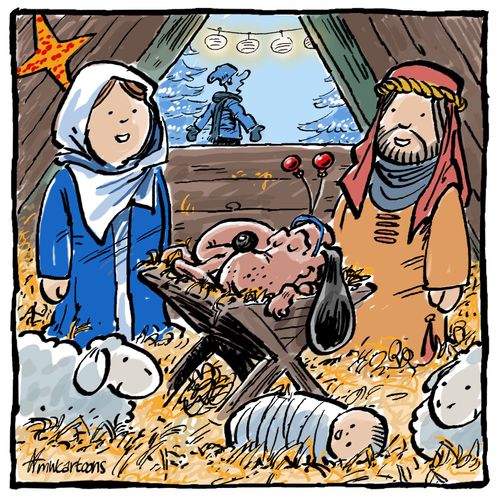The new Christmas child
