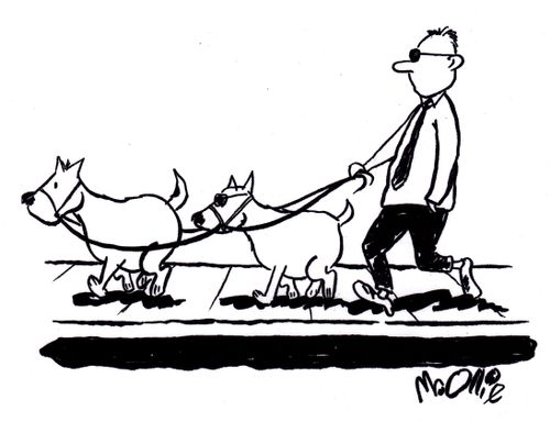 Dog leading a blind dog and blind person.