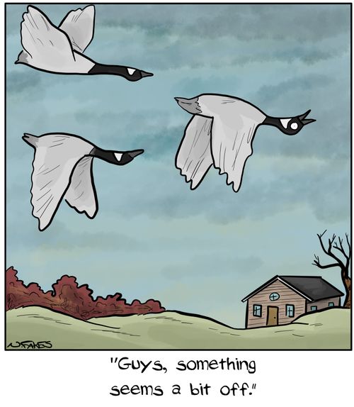 "Guys, something seems a bit off."