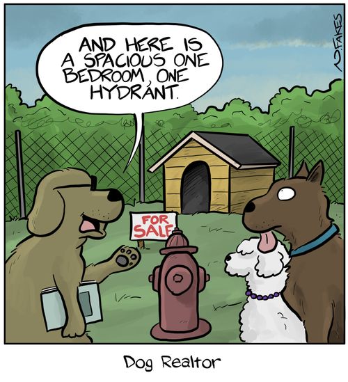Dog Realtor