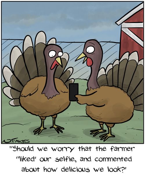 "Should we worry that the farmer "liked" our selfie, and commented about how delicious we look?"