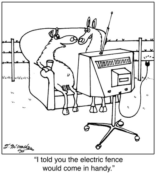 'I told you the electric fence would come in handy.'