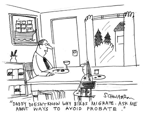 'Daddy doesn't know why birds migrate. Ask me about ways to avoid probate.'