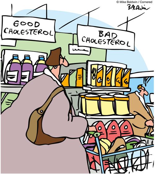Good Cholesterol / Bad Cholesterol.