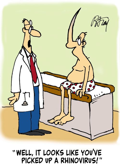 'Well, it looks like you've picked up a rhinovirus!'