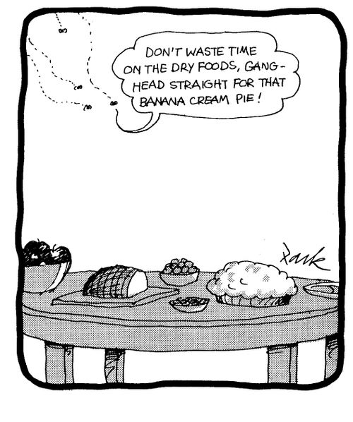 'Don't waste time on the dry foods, gang - head straight for that banana cream pie!'