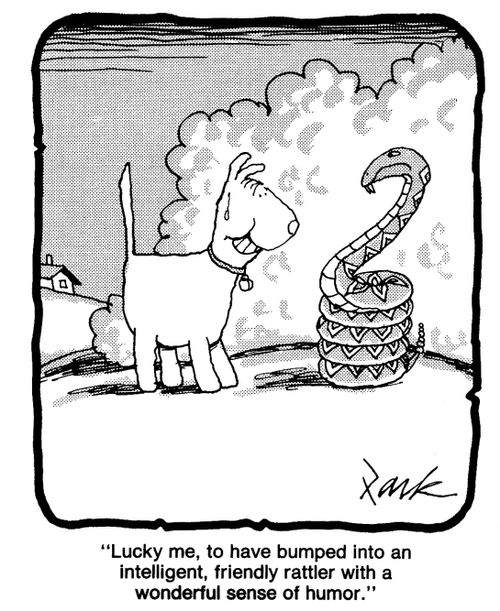 'Lucky me, to have bumped into an intelligent, friendly rattler with a wonderful sense of humour.'