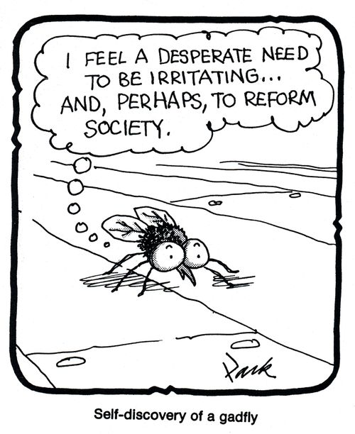 Self-discovery of a gadfly.